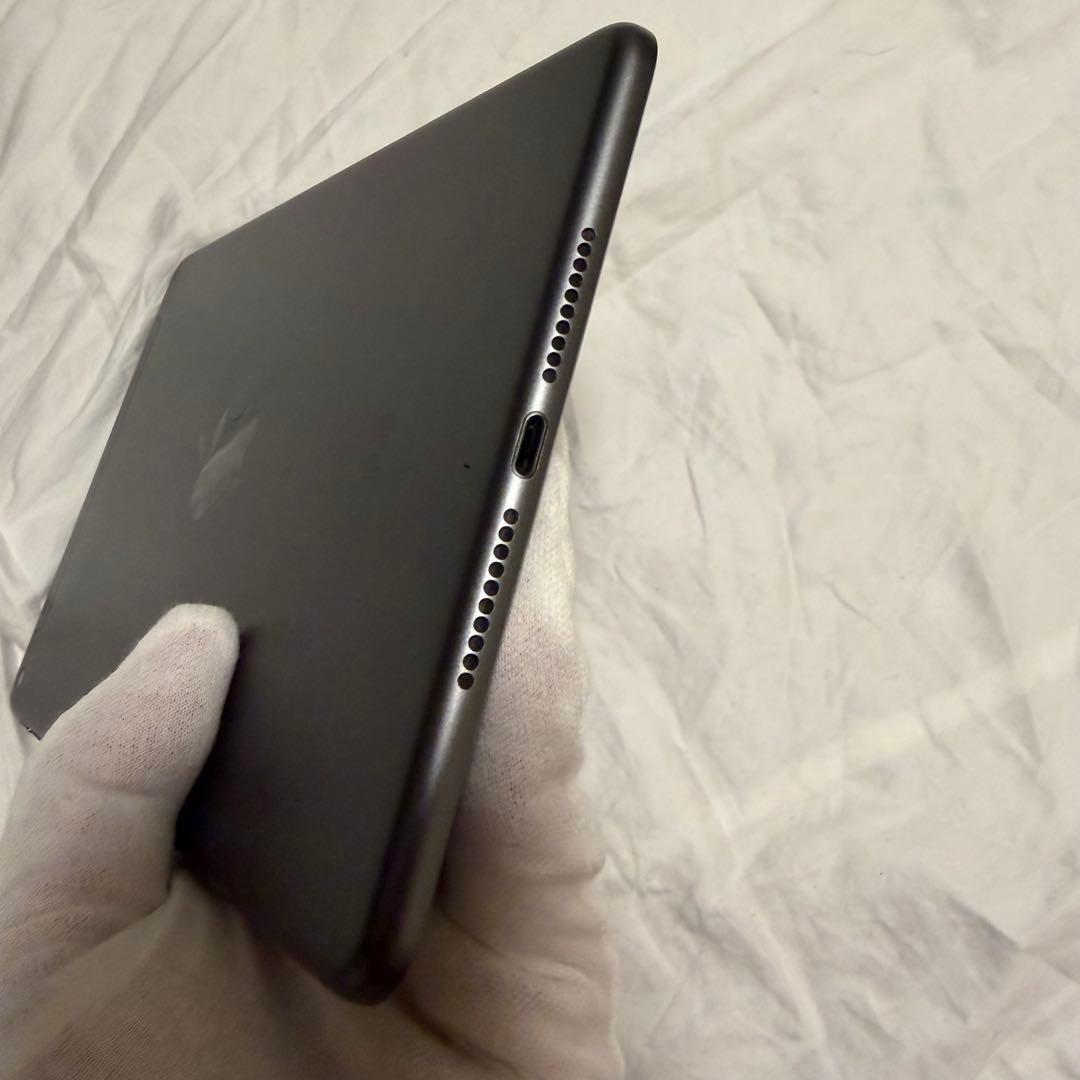 iPad mini 第5世代 256GB Wi-Fi＋Cellular スペース