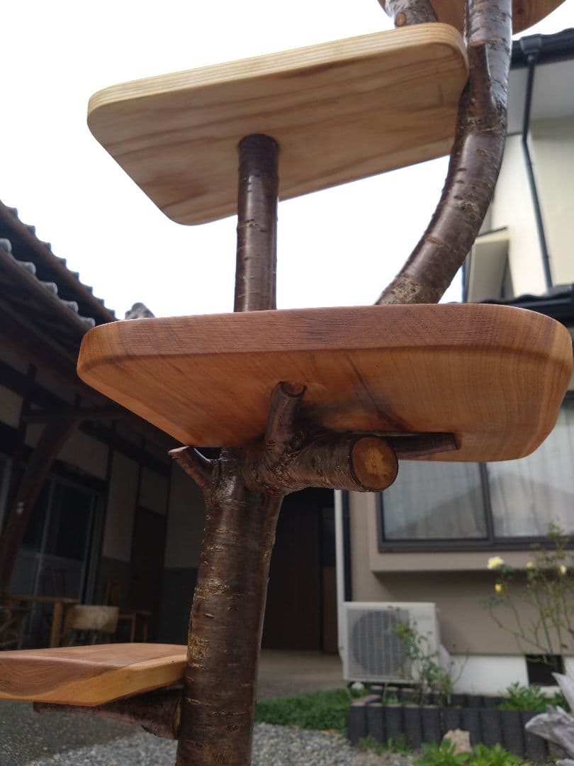 木製キャットタワー 据え置き型　桜❕