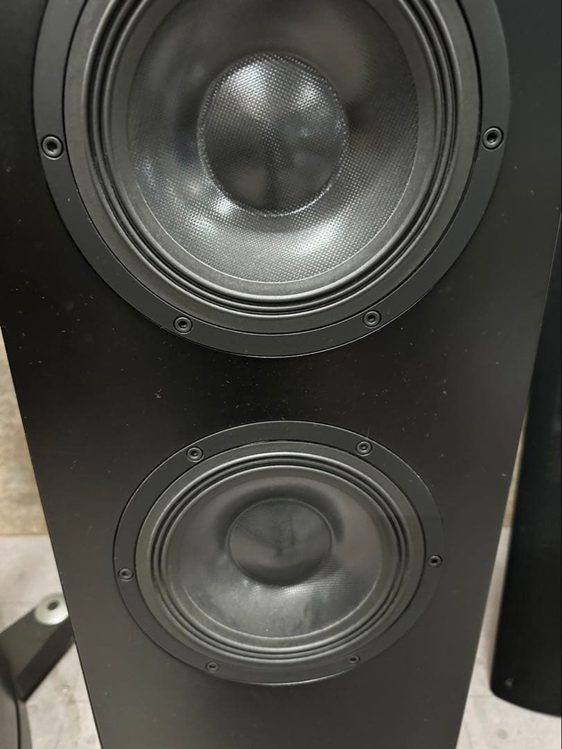 Pioneer S-1EX 1本 000323 TAD/AIR Studios