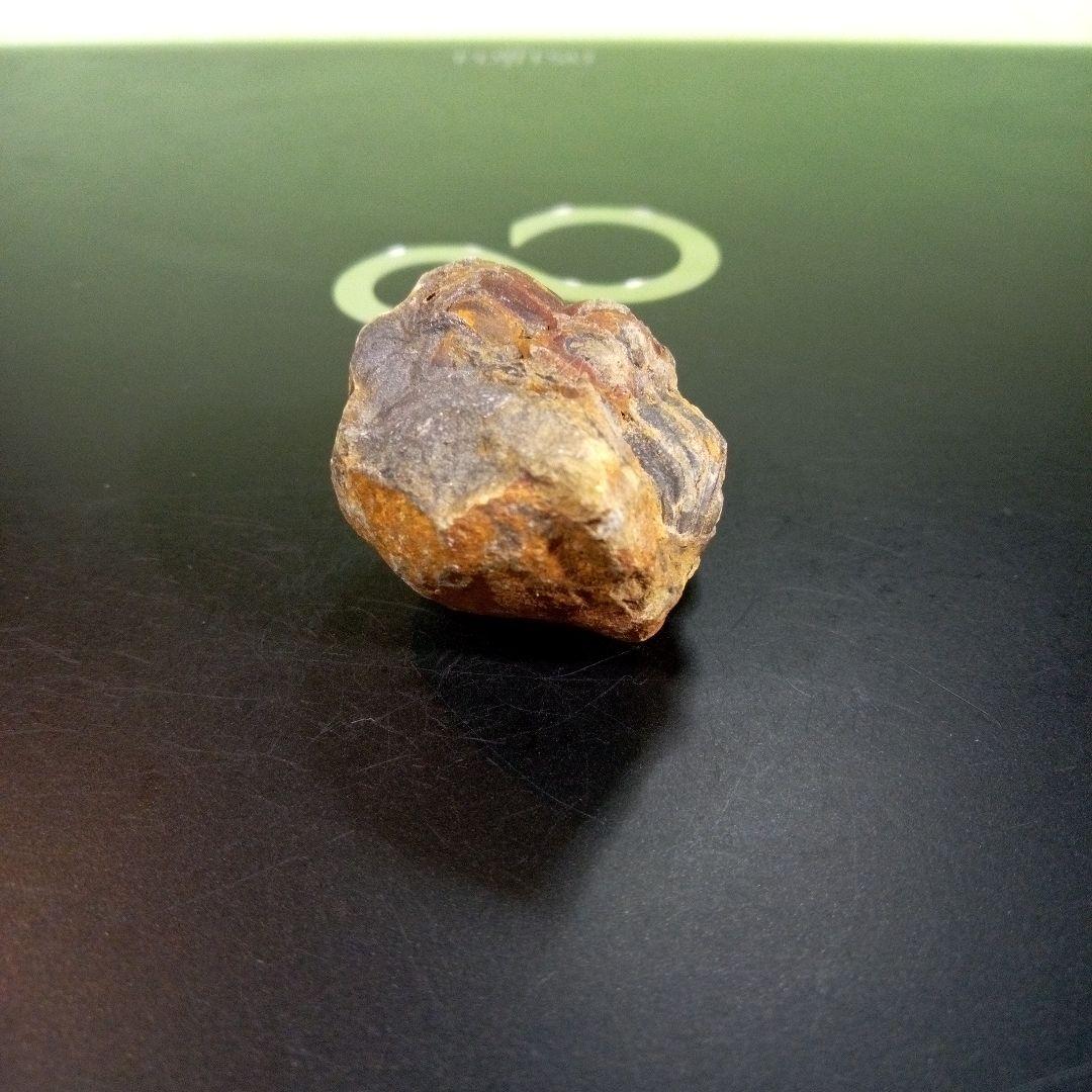 三葉虫　化石　fossil　ボリビア産　トライロバイト　三葉虫個体②