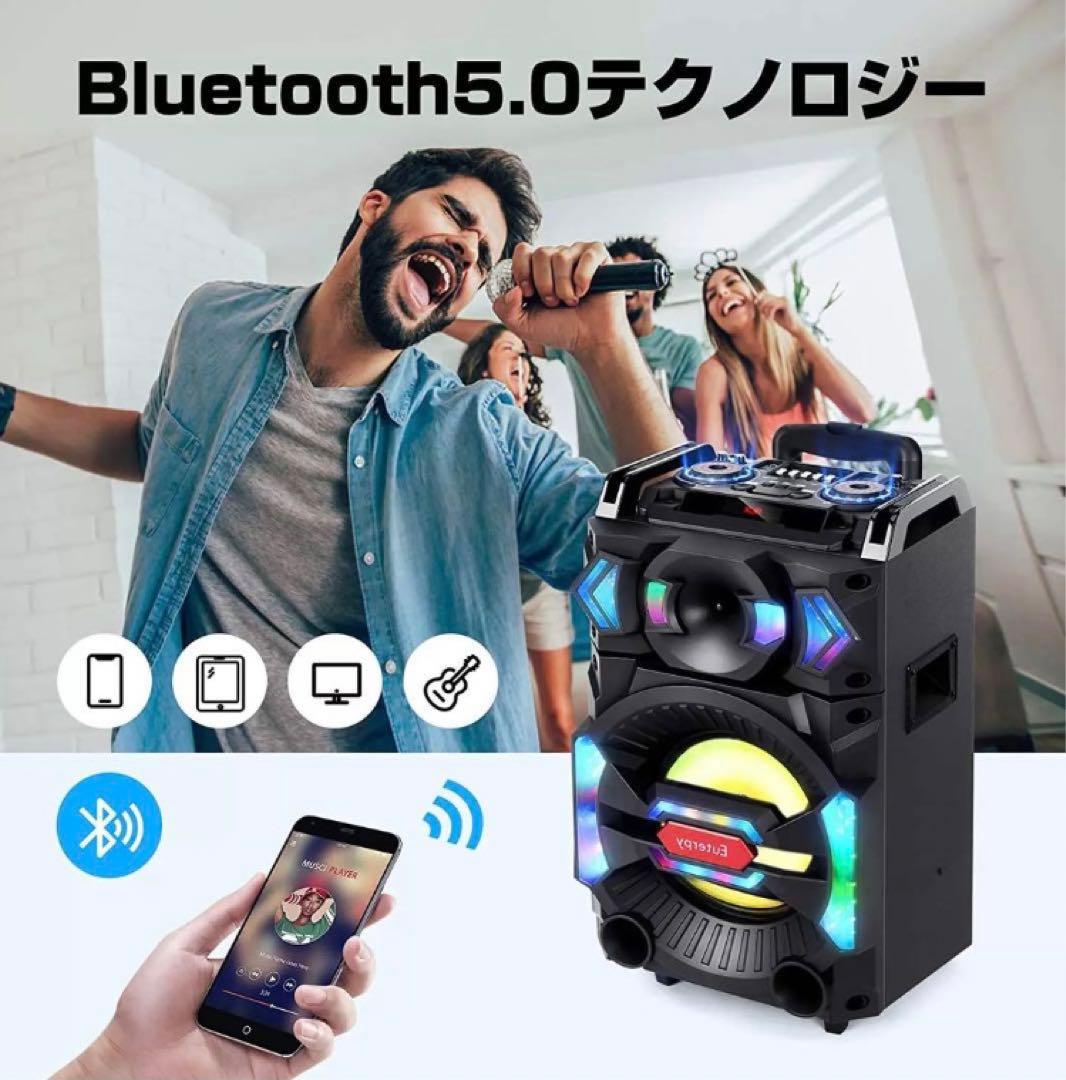 ☆超激レア！！ Euterpy スピーカー Q101H カラオケ 路上ライブ