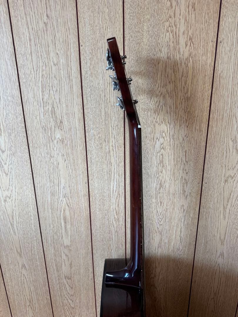 Elite Takamine アコースティックギター F120