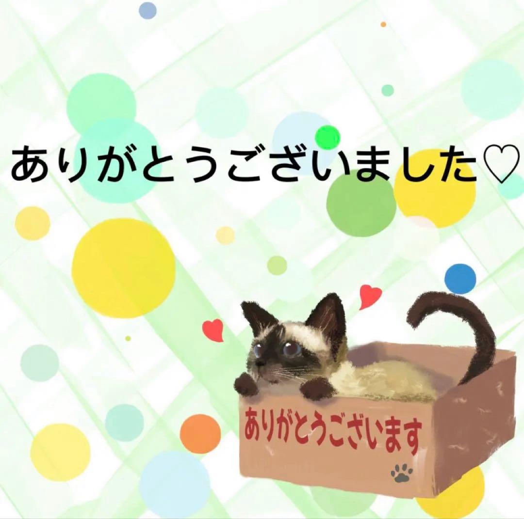 【8519】海外　マステ　5m巻売り　PET マスキングテープ　お花