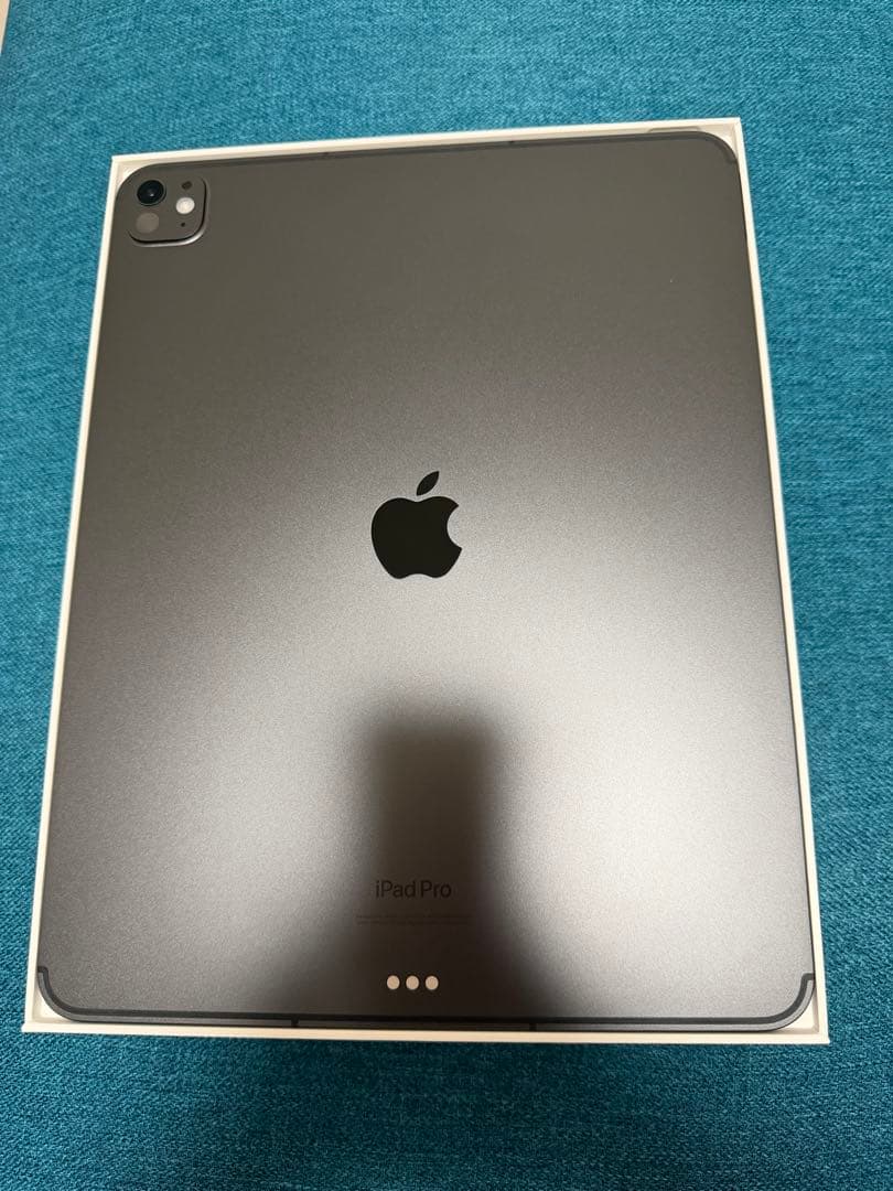 iPad本体 iPad Pro M4 13inch 256GB Wi-Fi+Cellular