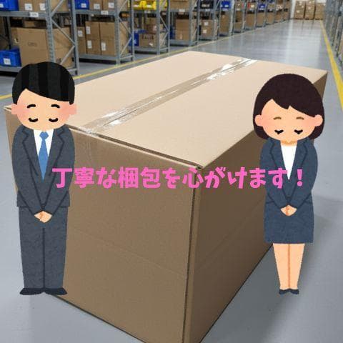 Aladdin (アラジン) グラファイト トースター 2枚焼き 温度調節機能*
