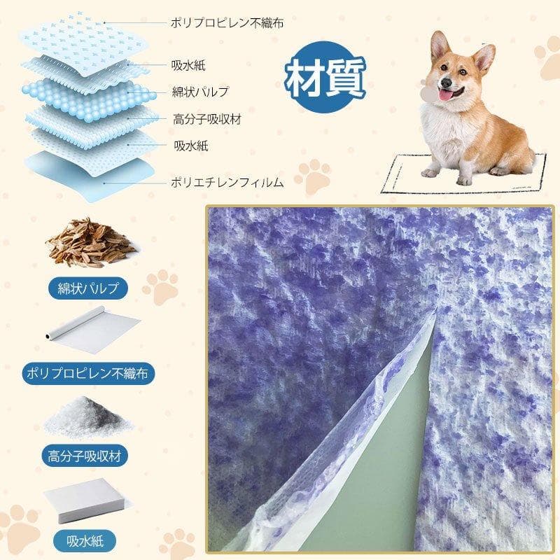 中井貴夫