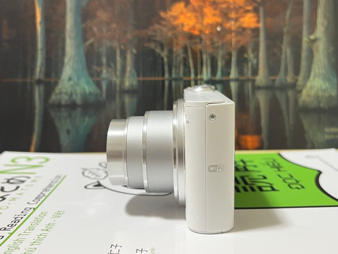 デジタルカメラ SONY WX300