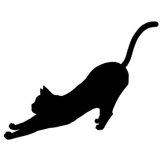カネキ