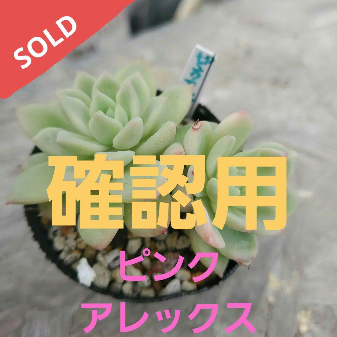 うわばみ