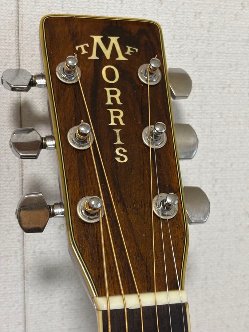 後期型！Morris モーリス　TF W-50 バックハカランダ3p