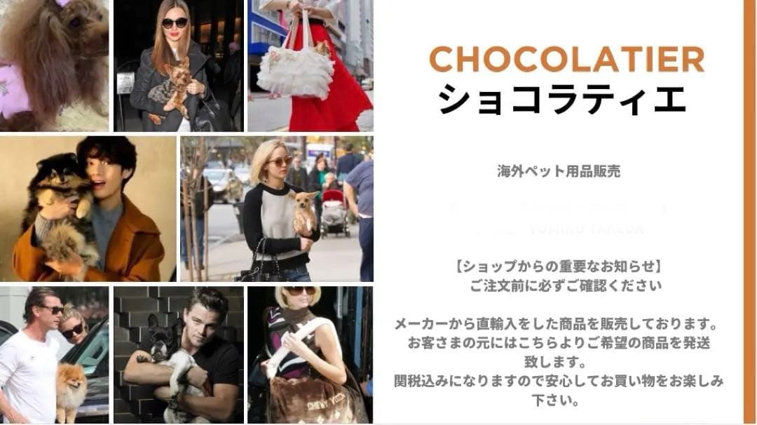 WOOFLINK(ウーフリンク)韓国ブランド セレブ 犬用キャリーバックブラウン
