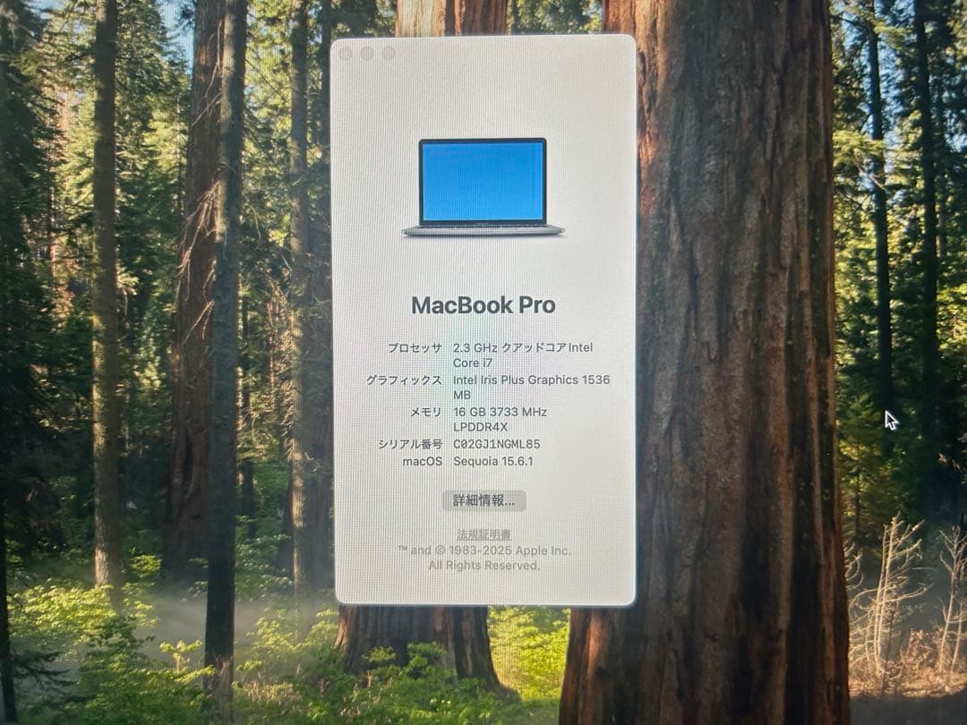 Apple MacBook Pro 13インチ