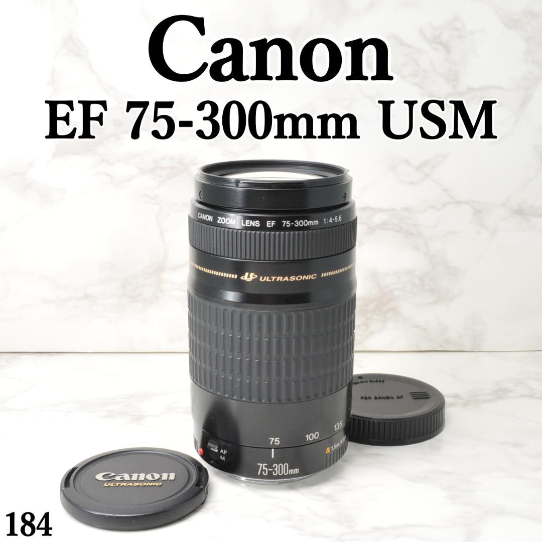 望遠レンズ⭐️Canon EF 75-300mm F4-5.6 USM ズーム