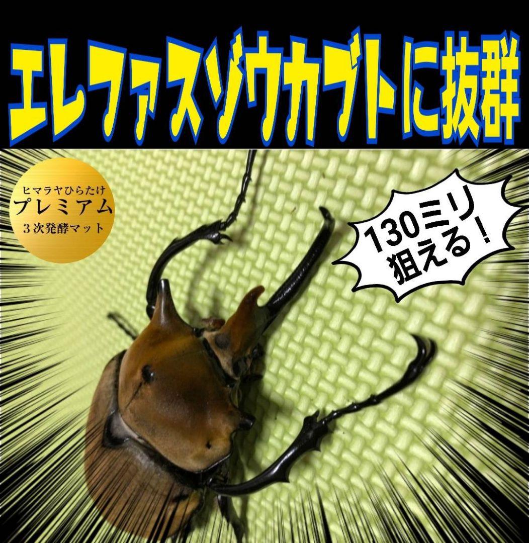 極上！プレミアム3次発酵ヘラクレスマット【5袋】特殊アミノ酸強化配合！産卵にも！