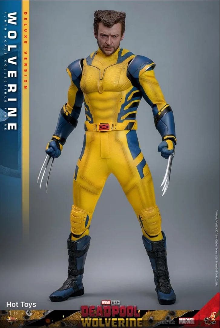 ホットトイズHot Toys ウルヴァリン デラックス版 トイサピ限定