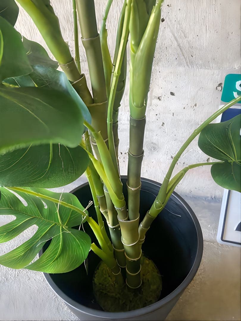 光触媒　人工観葉植物　ウォールグリーン　フェイクグリーン　モンステラ12080