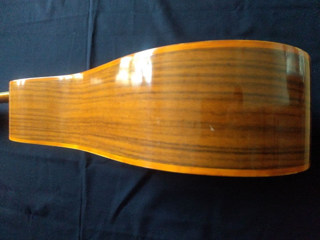 TAKEHARU GUITAR　WT-250　made in Japan