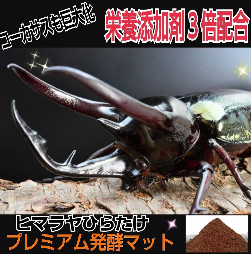 極上！カブトムシ幼虫の餌・産卵に！プレミアム3次発酵マット【たっぷり6袋セット】