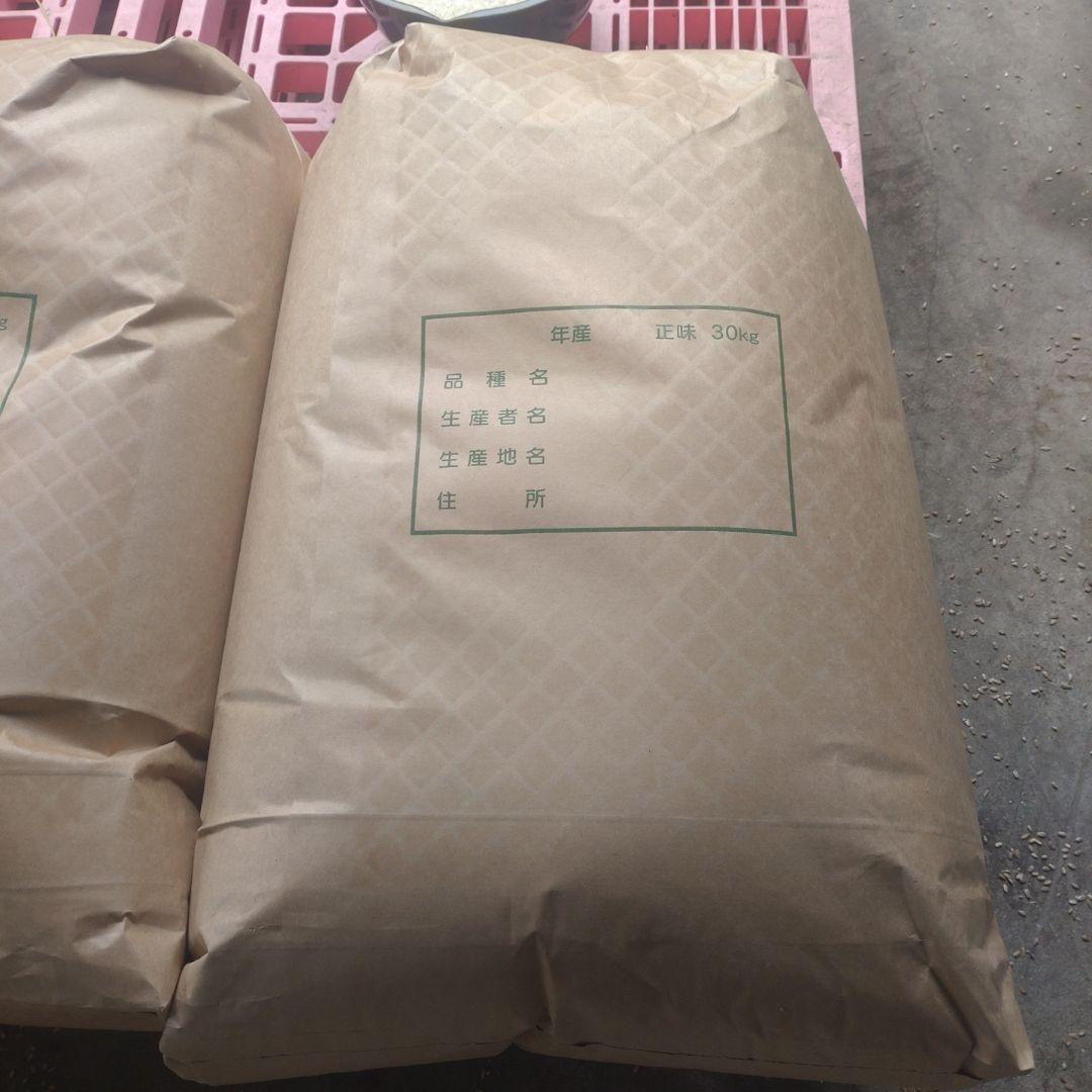 くず米 クズ米 約29kg