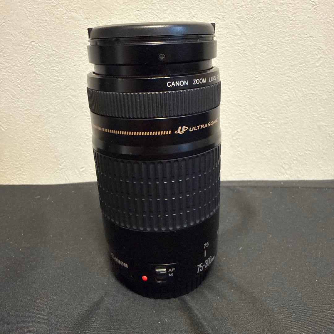Canon EOS 5DMarkⅣ