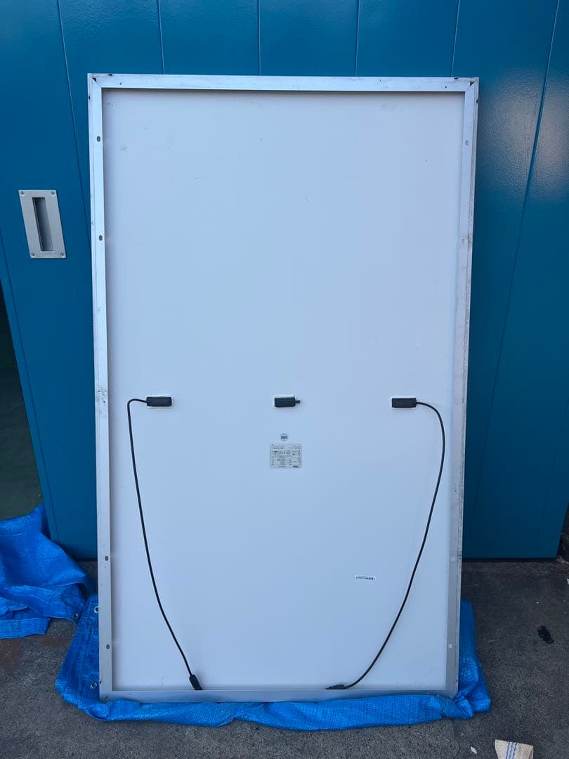 にゃんこきんぐ　10枚