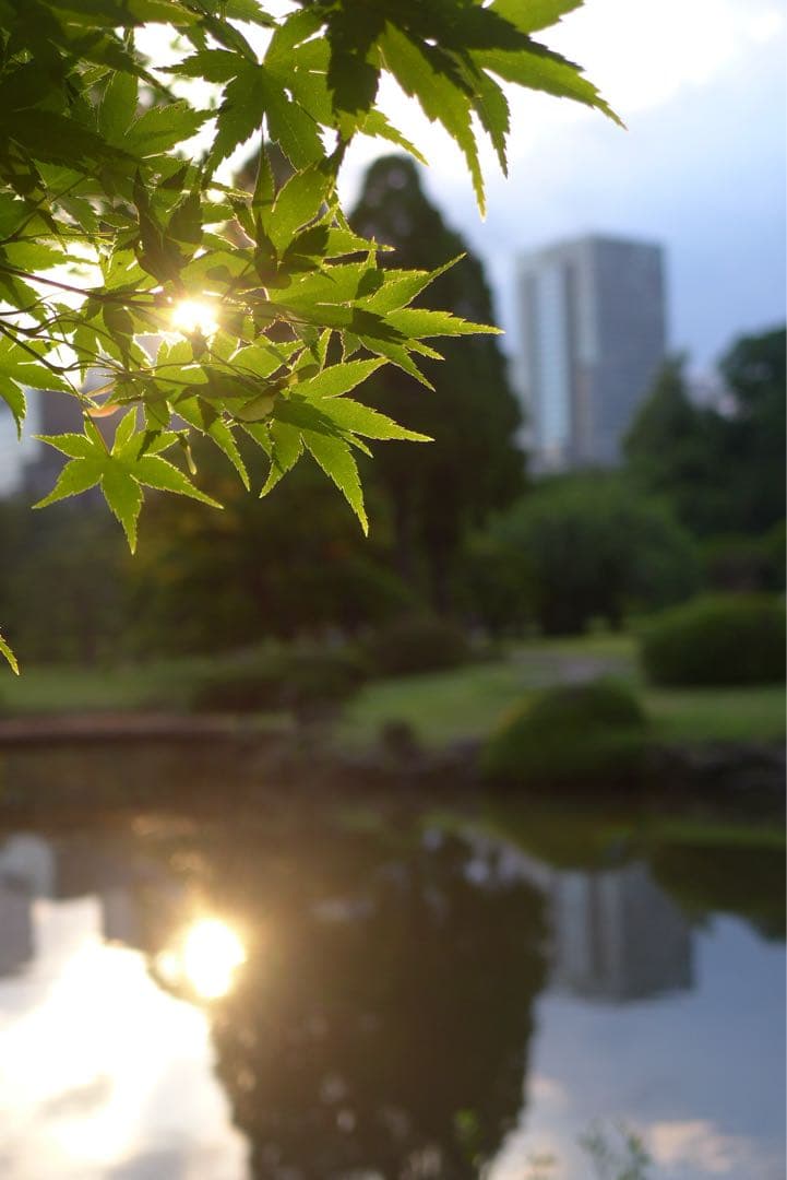 Leicaのロマン F1.4大口径で吠える！ポケットの猛獣 D-LUX 6セット