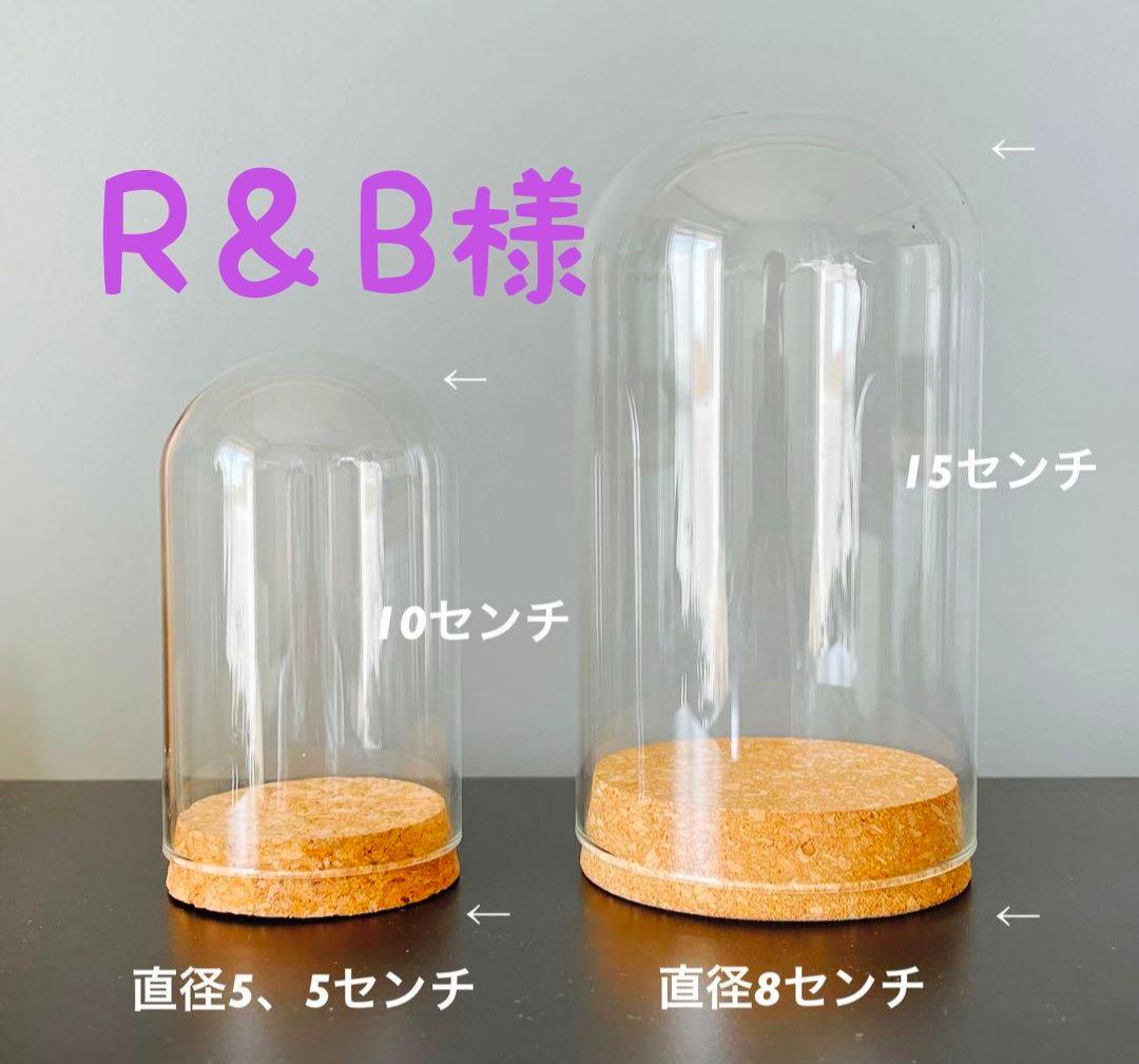 ガラスケース 2サイズセット コルクベース　各10個