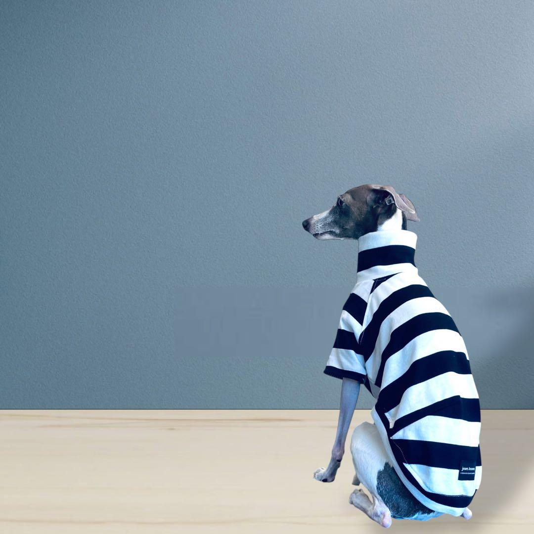 ⑱ボーダーショートスリーブ