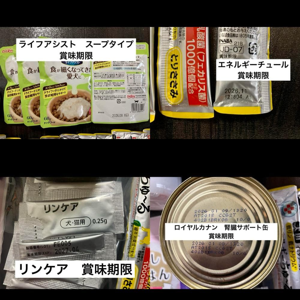 犬用　腎臓ケアセット