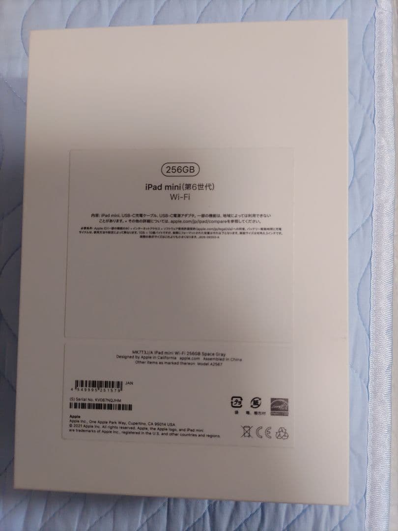 iPad mini6 第6世代 Wi-Fiモデル 256GB 美品 即購入可