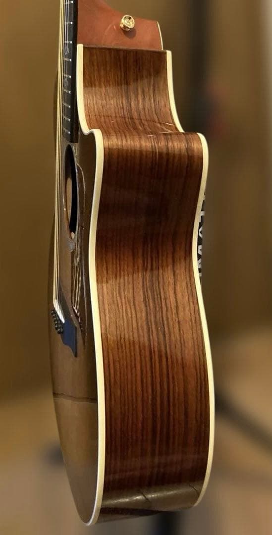 ギター 2020 Taylor LTD 414ce-R SEB