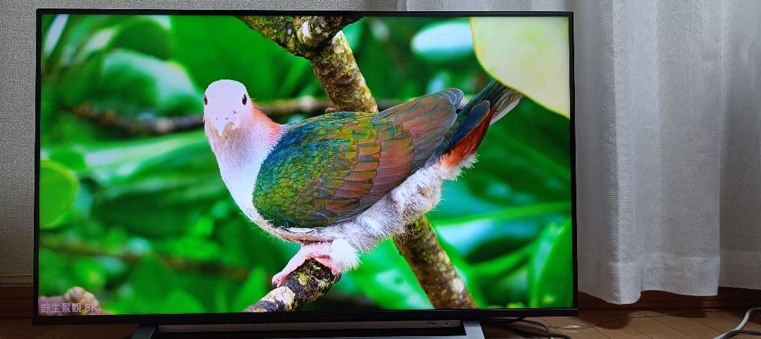 TOSHIBA REGZA 43M530X（2019年製）