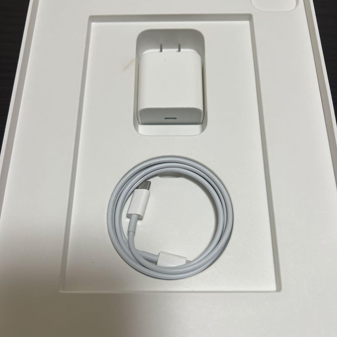 iPadPro11インチ第4世代128GB WiFi + Cellularモデル