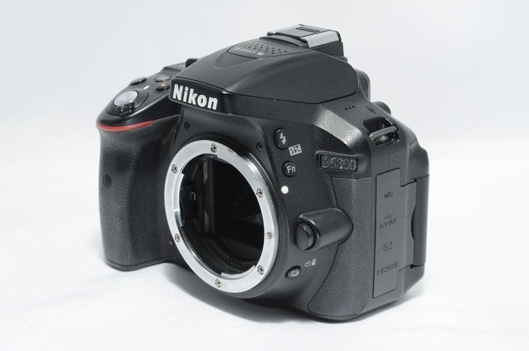 家族も風景写真も綺麗に残す❗️Nikon D5300✨望遠＆標準Wレンズセット