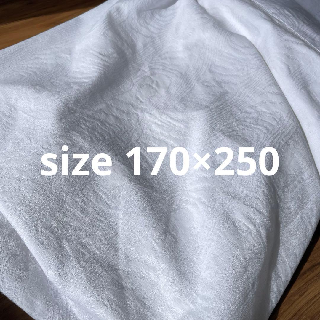 ZARA テーブルクロス ポルトガル製コットン　170×250cm