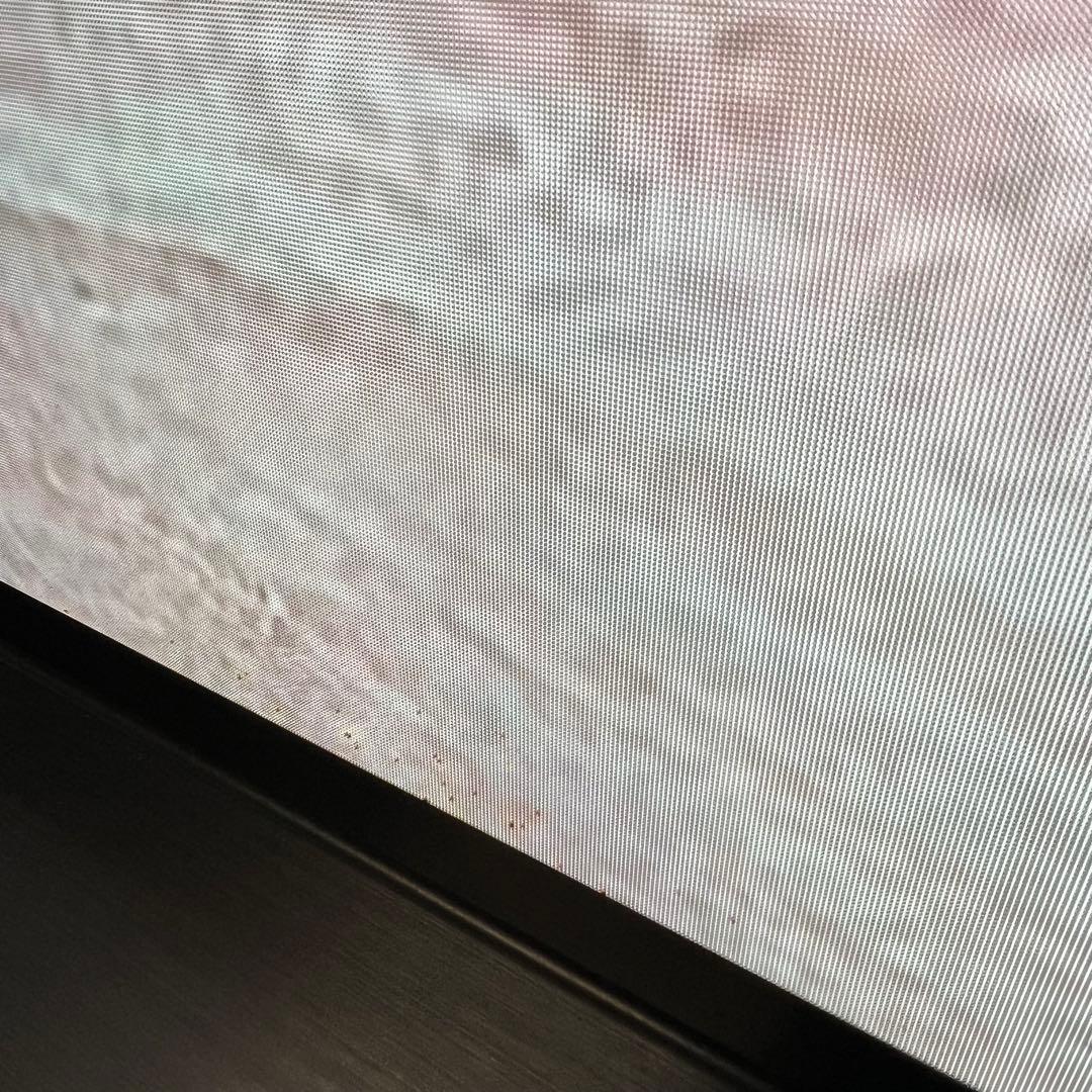 Ryu さん専用LG55型4K有機EL YouTube NETFLIX視聴