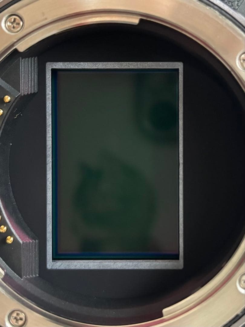 Canon EOS RP [ボディ] | Canon RFマウント　レンズセット