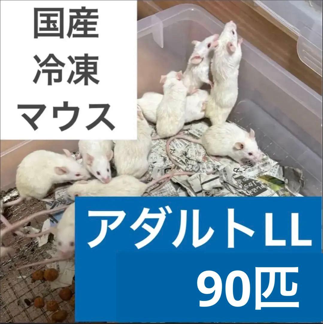 rin　冷凍マウス アダルトLL リタイア　セット 送料無料