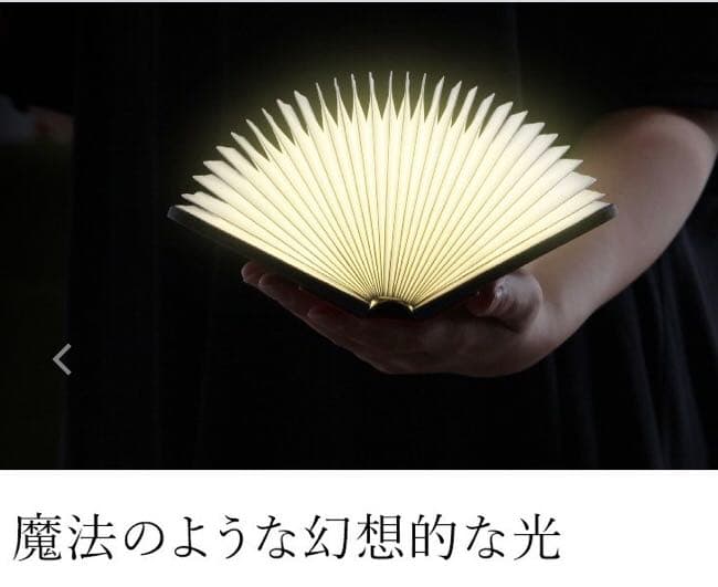 ルミオ 正規品 MoMA ブックライト