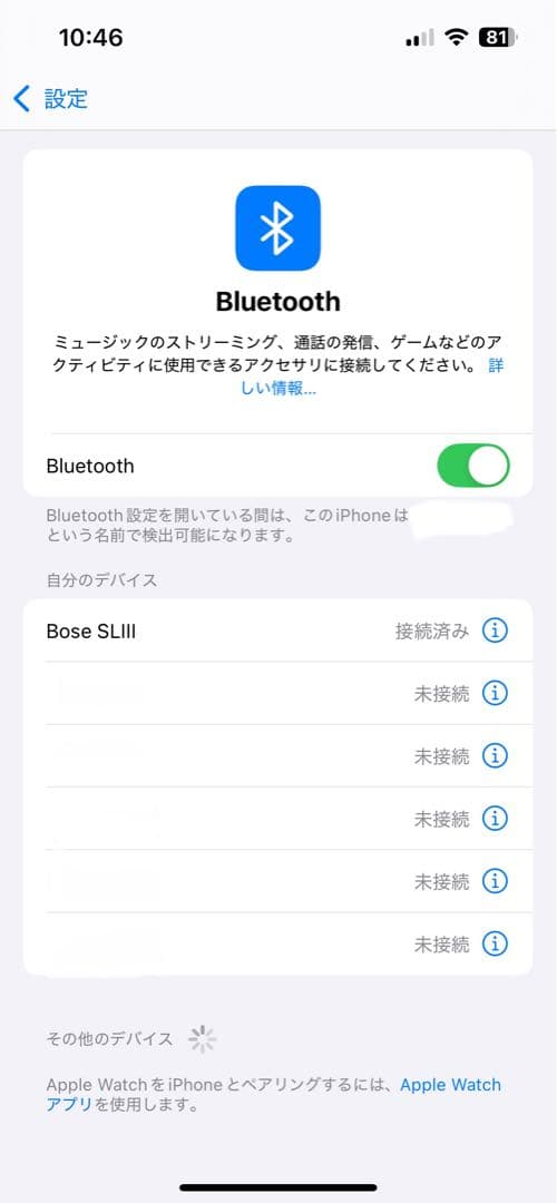 【美品】BOSE Sound Link BT III カバー付き