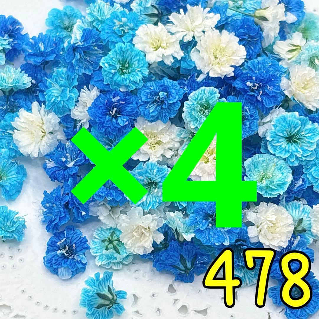 専用ページ✩.*˚