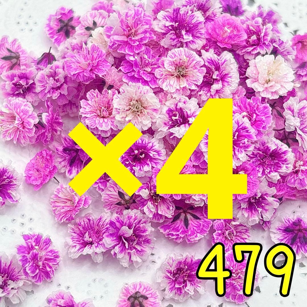 専用ページ✩.*˚