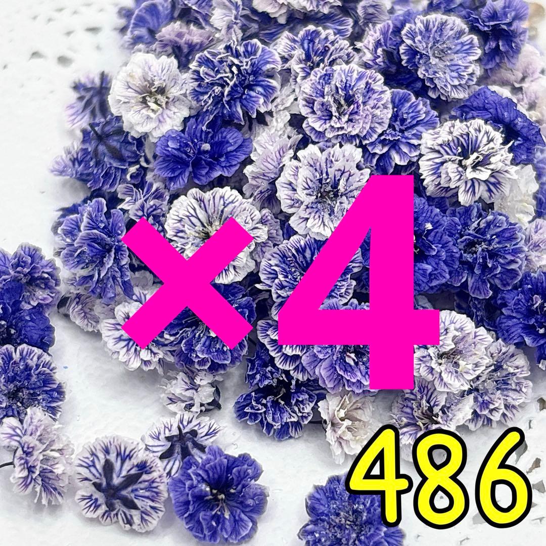 専用ページ✩.*˚