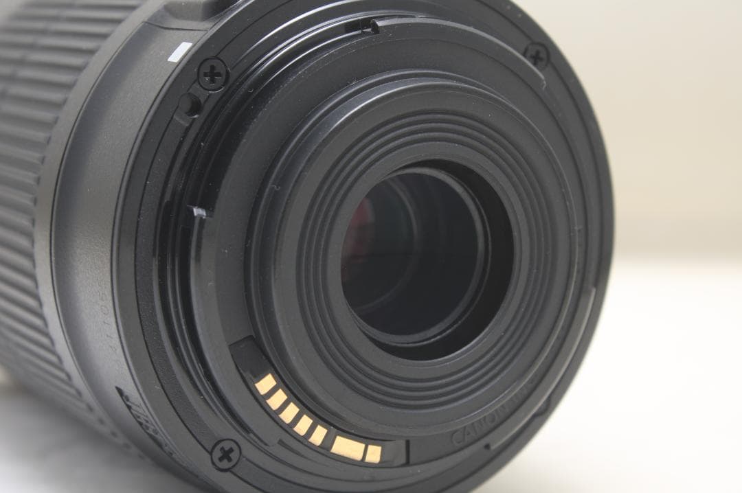 キヤノン EF-S 55-250mm F4-5.6 IS STM 5541