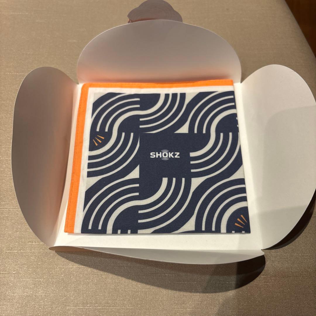 新品未使用　骨伝導イヤホン　大迫モデル　オープンラン　プロ2 福袋購入品　おまけ