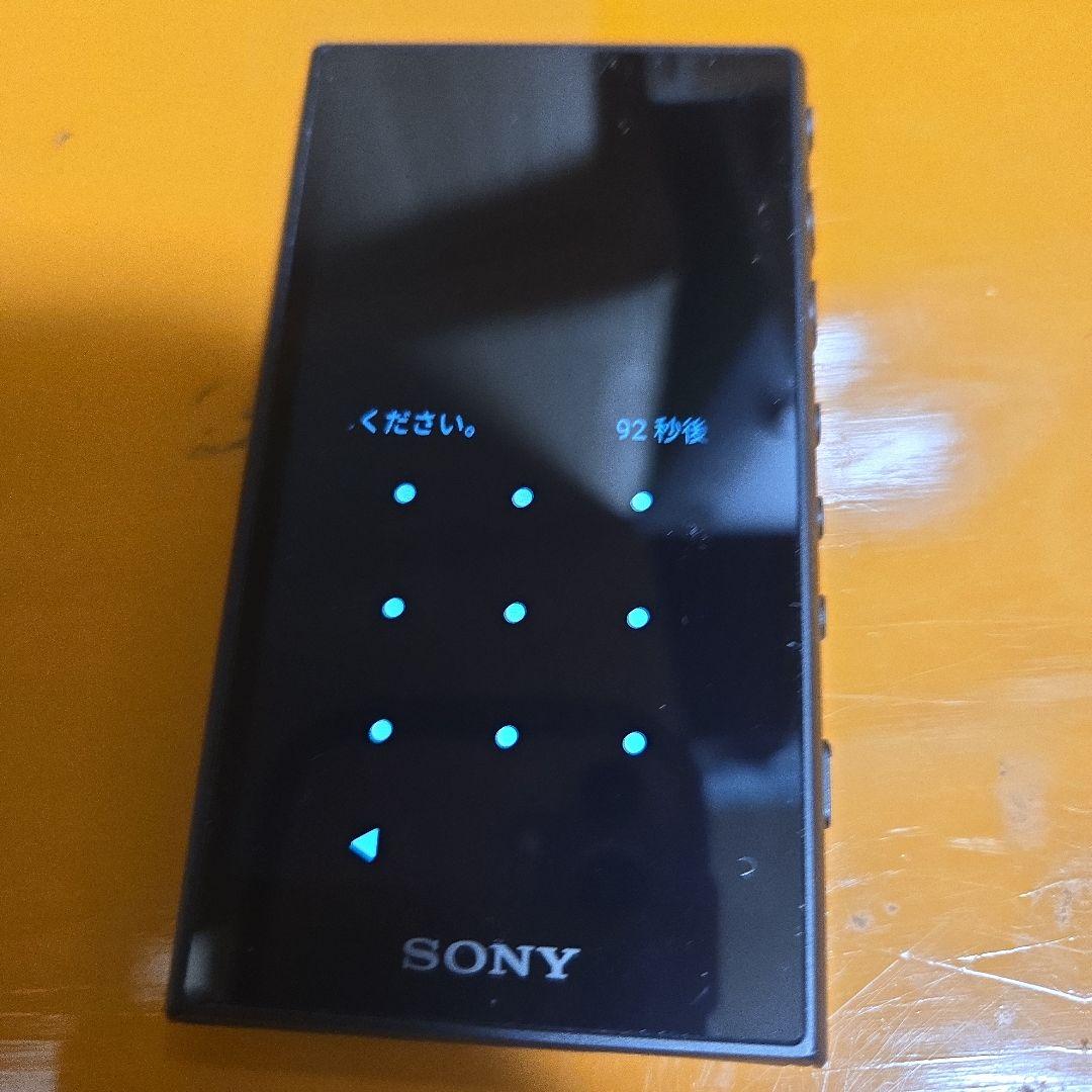 ポータブルプレーヤー SONY WALKMAN NW-A105 JUNK