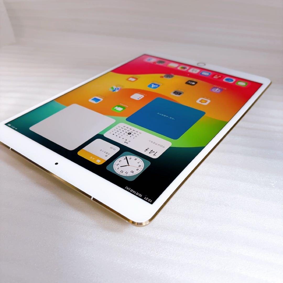 即日発送！iPadPro2【256GB】SIMフリーとアップルペンシルのセット