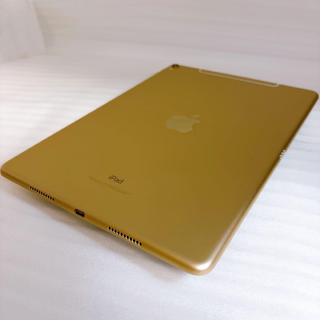 即日発送！iPadPro2【256GB】SIMフリーとアップルペンシルのセット