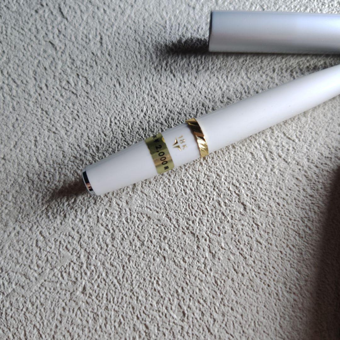 d*9様 21k 18Kペン先 セーラー Sailor 万年筆セット 未使用