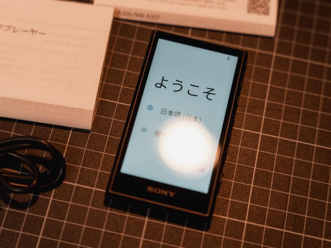 【国内正規版】SONY ソニー ウォークマン 32GB NW-A306